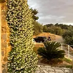 ヴィラ Skiathos Seaview With Pool